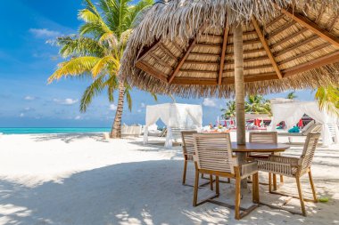 Outside lounging relax vacation beach bar paradise sea and coconut tree in travel. Summer chill lounge scenery, coconut palm shadows with chairs and tables