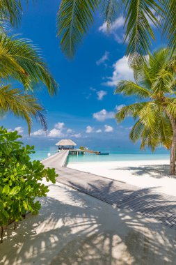 Tropik plaj, Maldivler. Huzurlu cennet adasına giden Jetty yolu. Palmiye ağaçları, beyaz kum ve mavi deniz, mükemmel yaz tatili manzarası veya tatil afişi. Güzel turizm merkezi, Maldivler