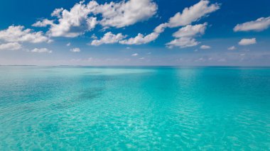 Beach ocean sea view. Beautiful panoramic seascape, vivid blue sky over calm sea with waves splashing surf beach. Amazing seascape, summer nature, peaceful relax nature