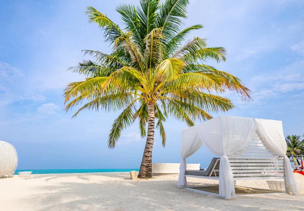 Luxury Beach Resort Beach Loungers Sea White Sand Sea Topical — Stock Photo, Image