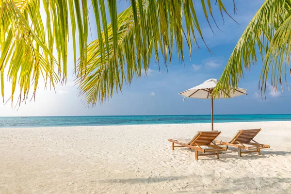 Schönen Tropischen Strand Banner Weißer Sand Und Kokospalmen Bereisen Das — Stockfoto