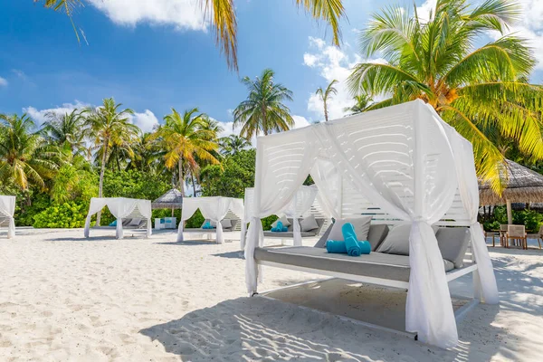 Increíble Escena Playa Tropical Con Dosel Blanco Cortina Para Concepto — Foto de Stock