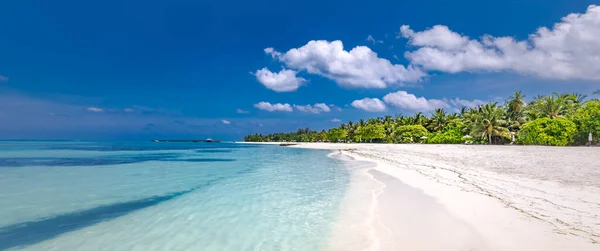 Belle Plage Avec Palmiers Ciel Humide Vacances Été Voyage Concept — Photo