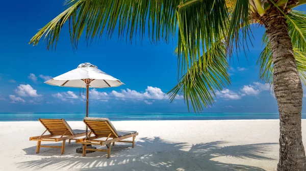 Beyaz kumlu ve kakao palmiyeli tropik cennet plajı turizm açısından geniş bir arka plan. Lüks tatil ve tatil afişi, tropik plaj tatil beldesi konsepti. Güzel plaj tasarımı