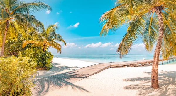 Maldives Island Beach Tropical Landscape Summer Scenery White Sand Palm — Stock Photo, Image