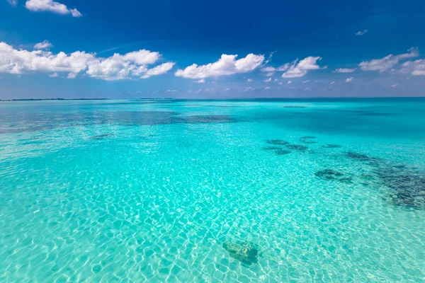 Strand Meerblick Urlaubsvorlage Mit Kopierplatz Wunderschöne Panoramische Meereslandschaft Strahlend Blauer — Stockfoto
