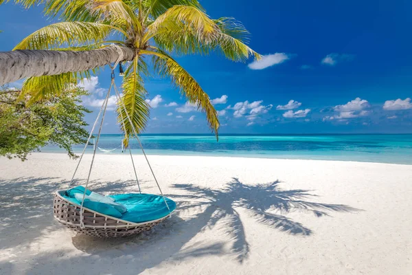 Tropical Beach Background Summer Landscape Beach Swing Hammock White Sand — Foto Stock