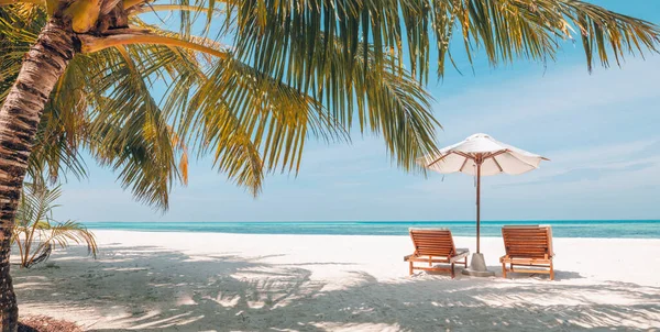 Beautiful Beach Chairs Sandy Beach Sea Summer Holiday Vacation Concept — Stockfoto