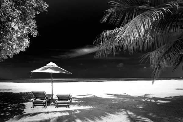 Dramático Paisaje Playa Blanco Negro Exótica Vista Naturaleza Cielo Oscuro —  Fotos de Stock