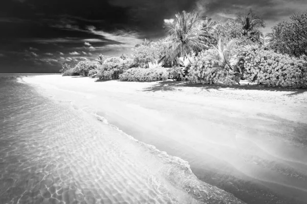 戏剧化的黑白海滩景观 异国情调的自然景观 艺术的黑暗天空和海水与热带棕榈树 平静的白沙滩 夏季风景 旅游景观 — 图库照片