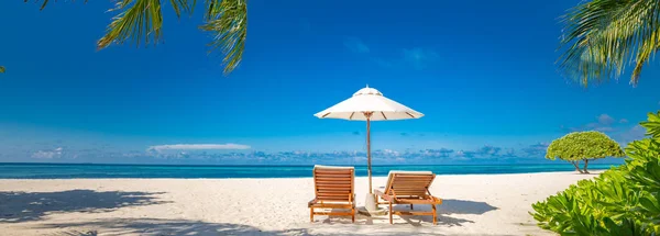 美丽的海滩靠海的沙滩上的椅子 令人振奋的热带风景 平静的海滩场景 异国情调的热带海滩景观背景或壁纸 暑假概念的设计 — 图库照片