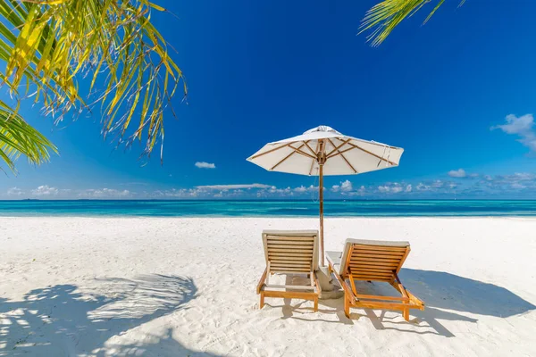 Nydelig Strand Håndflaten Legger Stoler Sandstranden Ved Havet Inspirerende Tropisk – stockfoto