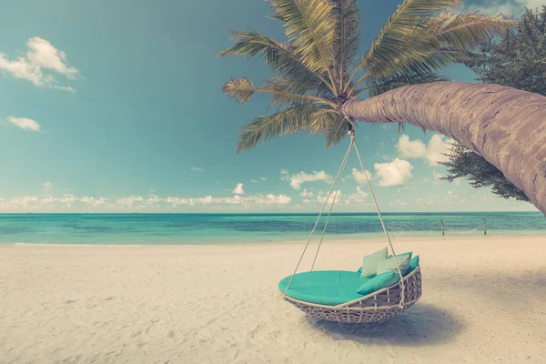 Sfondo Tropicale Spiaggia Come Paesaggio Estivo Con Altalena Spiaggia Amaca — Foto Stock