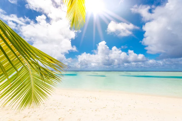 美丽的海滩和热带海 美丽的海滩自然 马尔代夫的风景 异国情调的风景 白色的沙滩和蓝色的天空 暑假和假日模板的豪华度假背景 — 图库照片