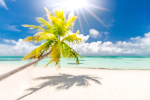 Ontspan Zomervakantie Vakantie Achtergrond Van Een Tropisch Strand Blauwe Zee — Stockfoto