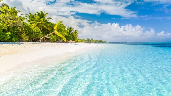 Strandnaturkonzept Palmenstrand Tropischer Paradiesinsel Exotische Landschaft Für Verträumte Und Inspirierende — Stockfoto