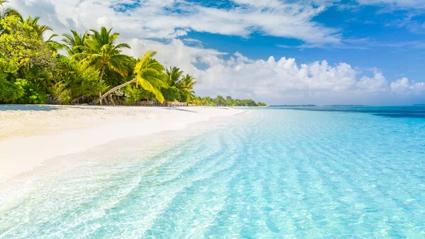 Begreppet Strandnatur Palm Beach Tropisk Idyllisk Paradisö Exotiskt Landskap För — Stockfoto