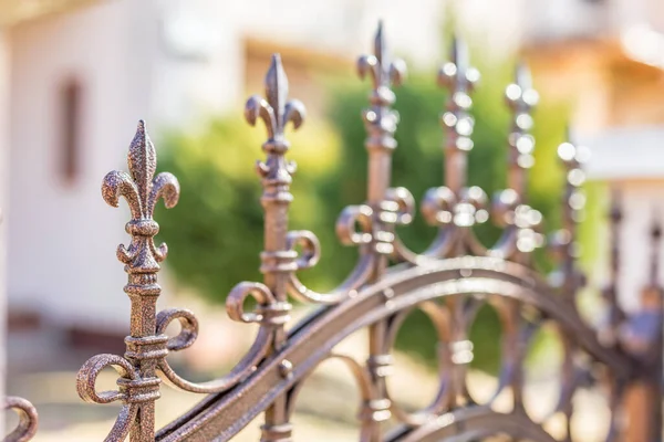 Metal fashion fence. Wrought iron tracery black fence fragment