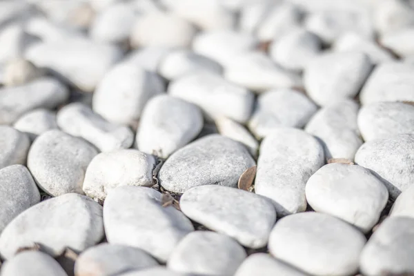 Weißer Stein Hintergrund Weiße Felsen Und Kies Als Hintergrund — Stockfoto