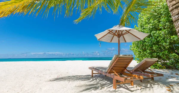 Prachtig Tropisch Landschap Twee Ligbedden Ligstoelen Parasol Onder Palmbomen Wit — Stockfoto