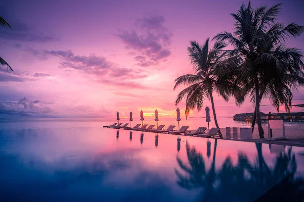 Piscina Infinita Lujo Atardecer Con Tumbonas Palmeras Sobre Arena Blanca —  Fotos de Stock