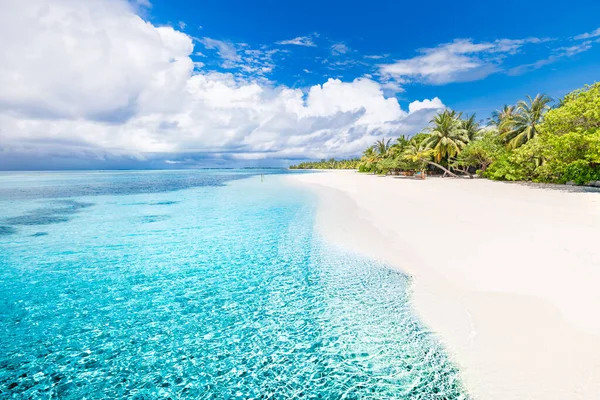 Sfondo Tropicale Spiaggia Come Paesaggio Estivo Con Altalena Spiaggia Amaca — Foto Stock