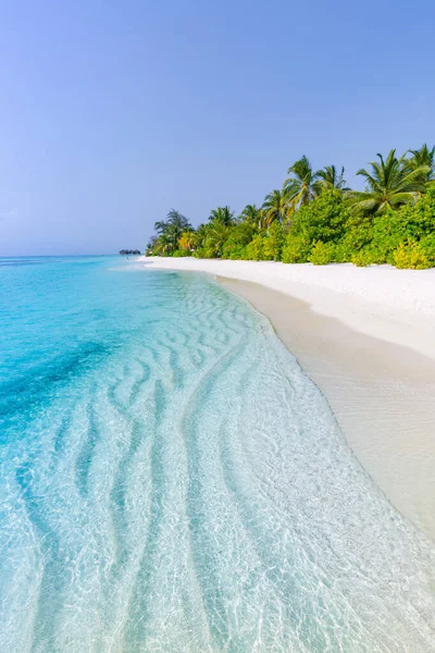 Удивительный Природный Пляж Пальмами Капризным Небом Концепция Летнего Отдыха Мальдивский — стоковое фото