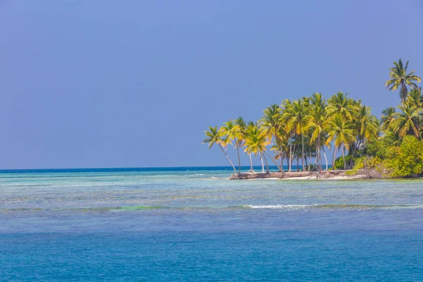 Fondo Playa Tropical Como Paisaje Verano Con Increíbles Palmeras Mar — Foto de Stock