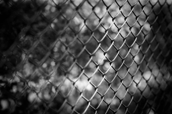 Abstract Dramatic Black White Fence Blurred Nature — Stock Photo, Image