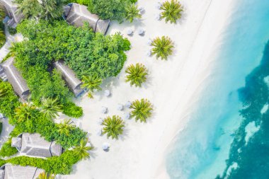 Maldivler 'deki kumsal manzarası. Hava manzaralı tropikal ada beyaz kum plajı mavi lagün denizi gökyüzü Maldivler adasında güzel tropikal maldivler tatil beldesi oteli.