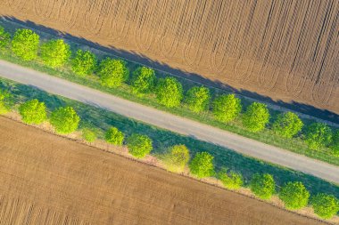 Beautiful view of the village road separating an agriculture field and brown soil with tree line. Top view, aerial landscape. Amazing nature scenery, birds eye view. Idyllic spring summer nature background