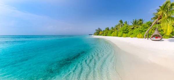 Beach Nature Concept Palm Beach Tropical Idyllic Paradise Island Exotic — 图库照片