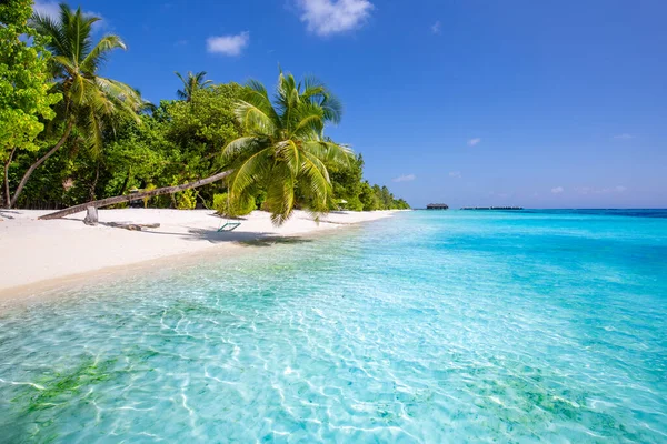 Strandnaturkonzept Palmenstrand Tropischer Paradiesinsel Exotische Landschaft Für Verträumte Und Inspirierende — Stockfoto