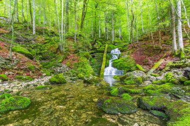 Alp dağlarının derinliklerinde küçük bir nehir. Güzel su akışı ve güneşli renkli doğa manzarası. İnanılmaz huzurlu ve rahatlatıcı dağ manzarası, bahar macerası seyahati