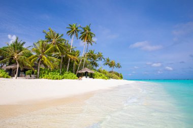 İnanılmaz doğa kumsalı, palmiye ağaçları ve karamsar gökyüzü. Sakin yaz tatili tatil geçmişi kavramı. Ada tatil köyü cennet plajı. Lüks seyahat yaz tatili arka plan afişi