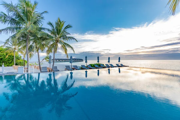 Beautiful Beach Palm Trees Sea View — Stock Photo, Image