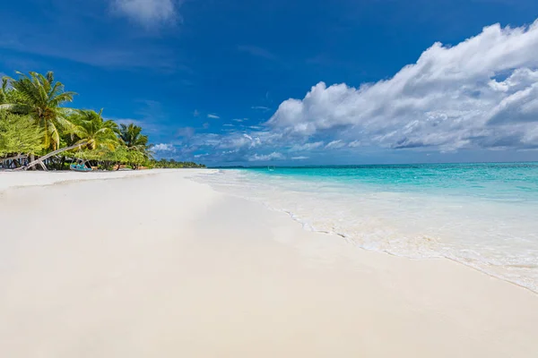 Prachtig Tropisch Strand Met Palmbomen Blauwe Lucht — Stockfoto