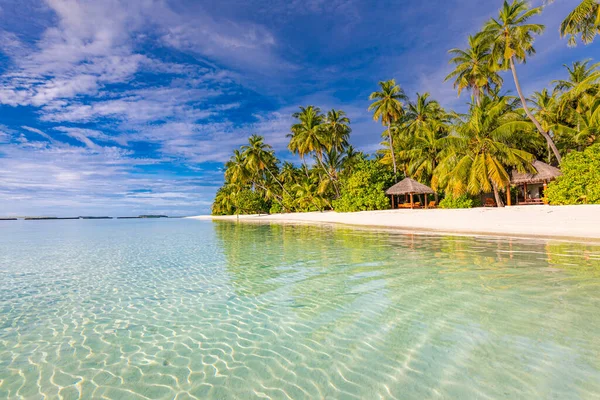 Wunderschöner Natur Sand Mit Palmen Und Launischem Himmel Ruhige Sommerferienreise — Stockfoto