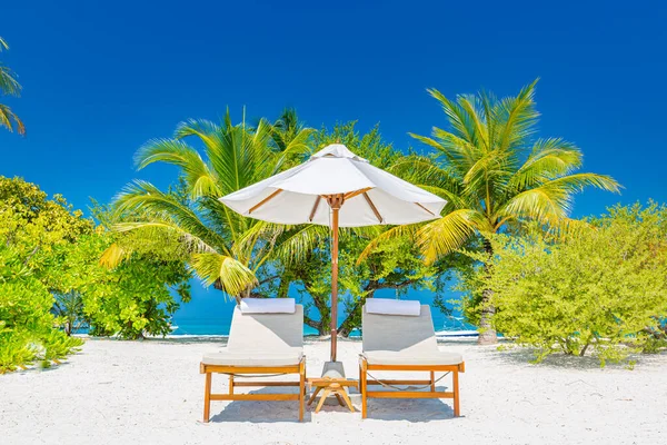 Tropische Strand Natuur Als Zomer Landschap Met Ligstoelen Palmbomen Luxe — Stockfoto