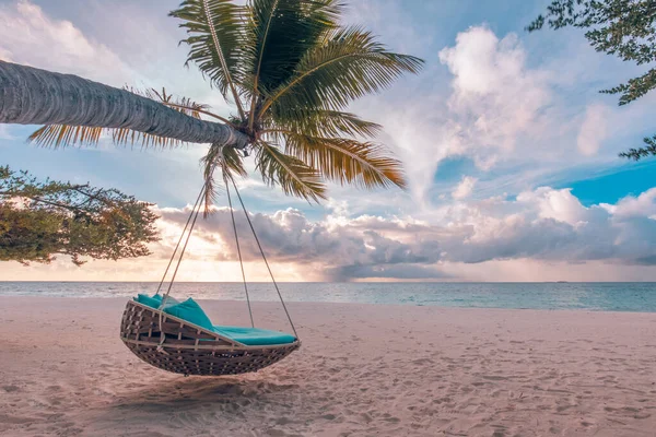 Όμορφη Τροπική Παραλία Αιώρα Ταξιδιωτική Έννοια — Φωτογραφία Αρχείου