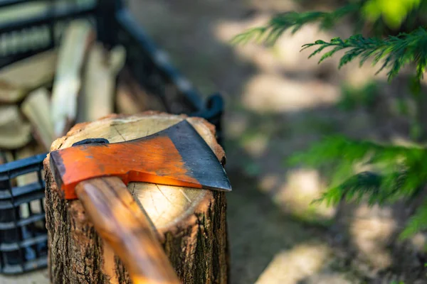 Close View Old Axe — Stock Photo, Image