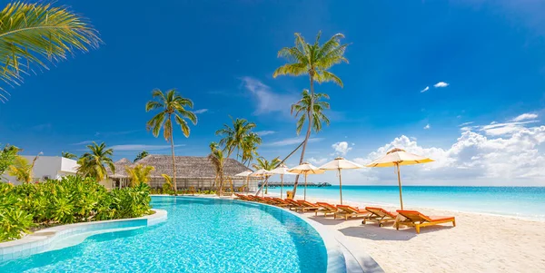 Schöner Tropischer Strand Mit Palmen Und Meerblick — Stockfoto