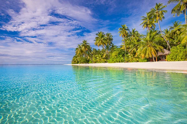 Luxus Resort Strand Wunderschönes Fernweh Reiseziel Landschaftlich Palmen Über Weißem — Stockfoto