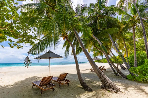 Stillhet Stranden Eksotisk Tropisk Strandlandskap Bakgrunn Eller Tapeter Design Sommerferiekonseptet – stockfoto