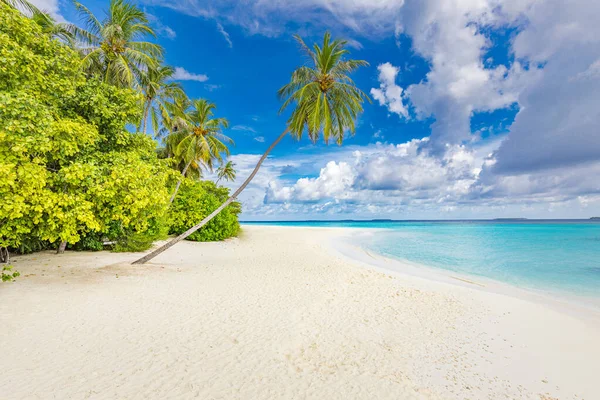 Luksusferiesstrand Flott Reisemål Vandrerlysten Palmetrær Hvit Sand Tropisk Øyparadis Ferieturisme – stockfoto