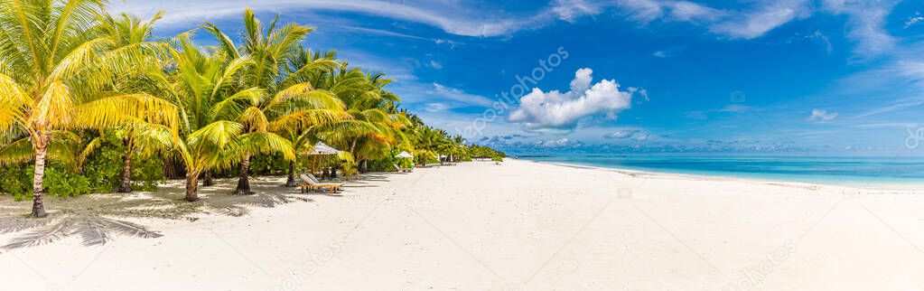 Amazing nature beach sand with palm trees and moody sky. Tranquil summer vacation travel holiday background concept. Island resort hotel paradise beach. Luxury travel summer holiday background banner