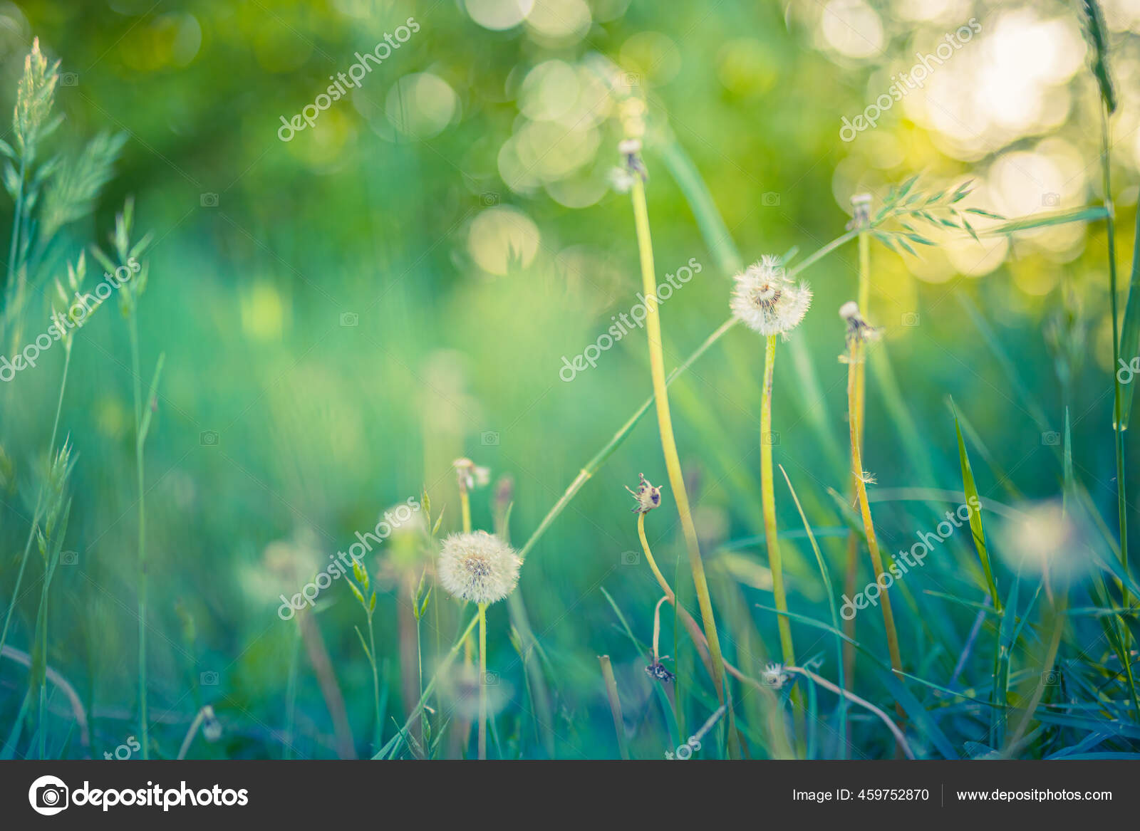 Música para DORMIR con Sonido de Lluvia y Naturaleza - Relajar la Mente, image size:1600x1167