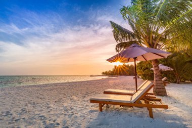 Tropikal plaj doğası yaz manzarası gibi şezlonglar, palmiye ağaçları ve plaj pankartları için sakin denizler. Lüks seyahat manzarası, tatil ya da tatil için güzel bir yer. Plaj sahnesi