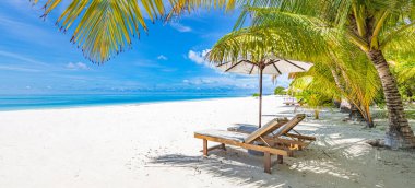 Güzel tropik ada manzarası, iki güneş yatağı, dinlenme yerleri, palmiye ağacının altındaki şemsiye. Beyaz kum, ufukta deniz manzarası, masmavi gökyüzü, sakinlik ve rahatlama. İlham verici sahil oteli