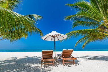 Tropikal plaj doğası yaz manzarası gibi şezlonglar, palmiye ağaçları ve plaj pankartları için sakin denizler. Lüks seyahat manzarası, tatil ya da tatil için güzel bir yer. Plaj sahnesi